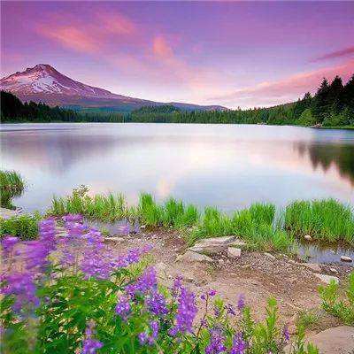 阜新房产网新楼盘